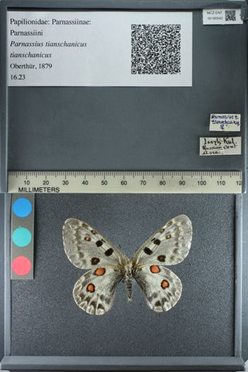 Media type: image;   Entomology 180543